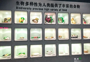 浙江自然博物院第 36 张图片