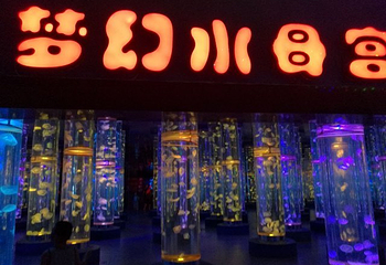 张家港梦幻海洋王国第 40 张图片