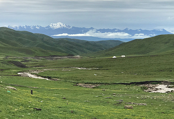 祁连山·岗什卡雪峰景区第 40 张图片