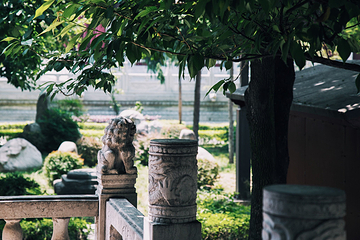 大兴善寺第 73 张图片