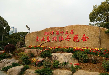 东湖牡丹园第 24 张图片