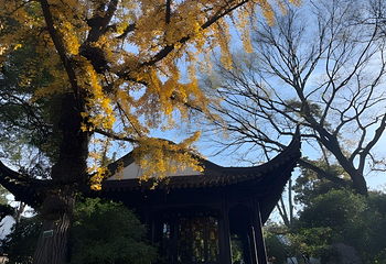 南京总统府第 83 张图片