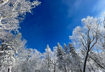 亚雪驿站十里画廊第 25 张图片
