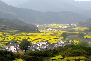 婺源篁岭景区第 262 张图片