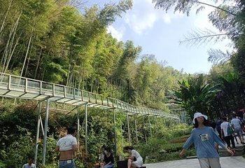 梅岭狮子峰第 22 张图片
