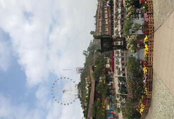 花海欢乐世界第 45 张图片