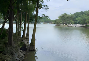 西樵山风景名胜区第 44 张图片