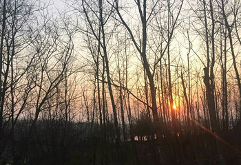 资江景区第 17 张图片