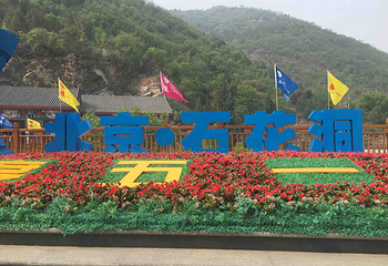 石花洞第 42 张图片