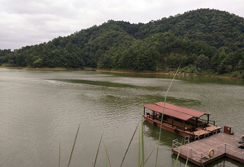 千岛湖龙川湾第 46 张图片