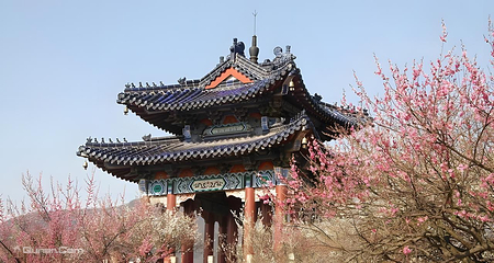 钟山风景名胜区第 4 张图片