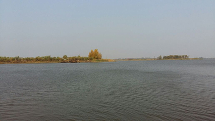 滨江湿地旅游风景区第 39 张图片