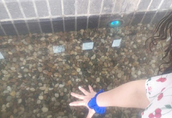 揽翠湖天沐温泉度假村第 63 张图片
