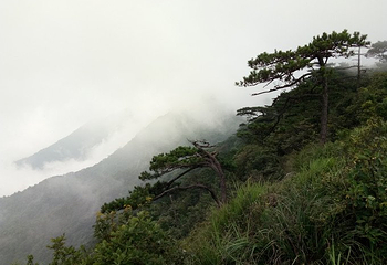 军峰山第 19 张图片