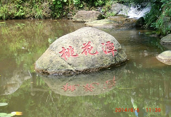 桃花寨第 12 张图片