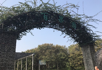 侨鑫生态园第 81 张图片