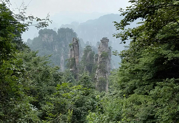 醉罗汉第 7 张图片