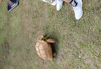 天鹅湖动物基地第 65 张图片
