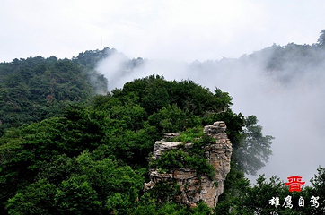 王莽岭风景区第 73 张图片