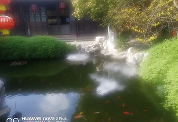 溱潼古镇第 50 张图片
