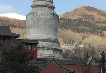 尊胜寺第 12 张图片