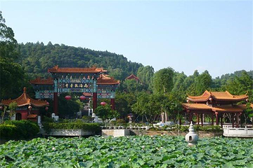 南海观音寺第 8 张图片