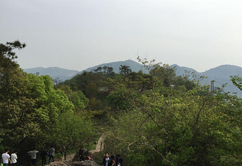 西塞山第 14 张图片