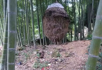 泽雅景区第 30 张图片