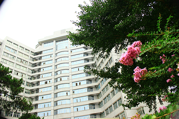 北京理工大学第 8 张图片