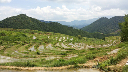 欧家梯田第 98 张图片