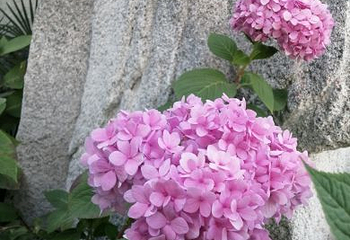 西安植物园新区第 50 张图片