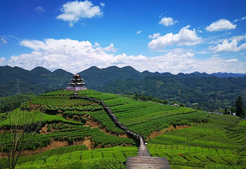 狮子关旅游区第 48 张图片