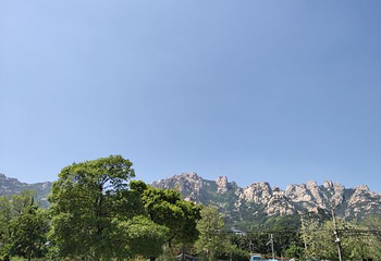 青岛市博物馆第 15 张图片