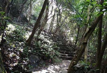石根山第 26 张图片