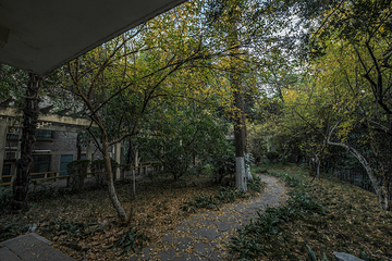 南京大学(鼓楼校区)第 28 张图片
