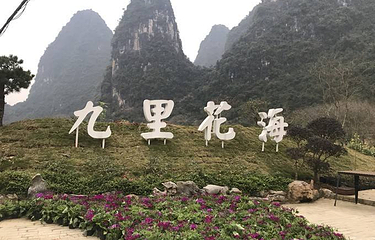 九里花海第 3 张图片