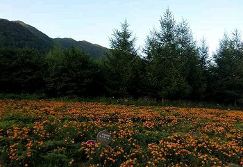 红池坝风景区第 35 张图片