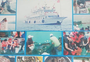日照旅游出海观光捕鱼第 5 张图片
