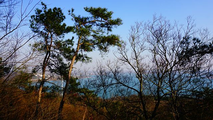 金牛湖风景区第 20 张图片
