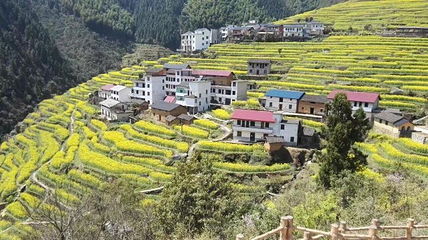 浙江开化国家公园旅游通票第 15 张图片