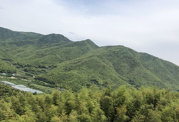 浙东大竹海景区第 34 张图片