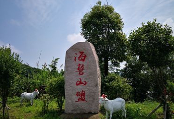 大洋山第 10 张图片