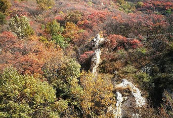 大鸿寨风景区第 37 张图片