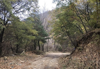 甘山国家森林公园第 26 张图片