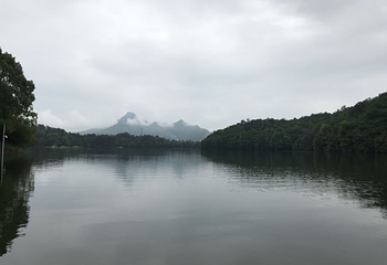 鸳鸯湖公园第 12 张图片