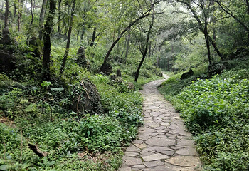八公山风景区(国家地质公园)第 35 张图片