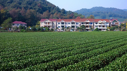 梅家坞茶文化村第 7 张图片