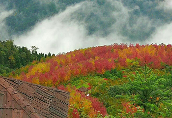 什邡红峡谷第 8 张图片