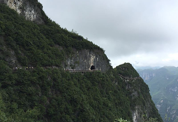苏马荡景区第 21 张图片