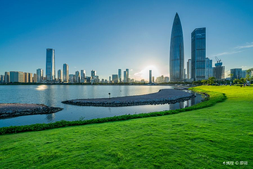 深圳人才公园第 2 张图片
